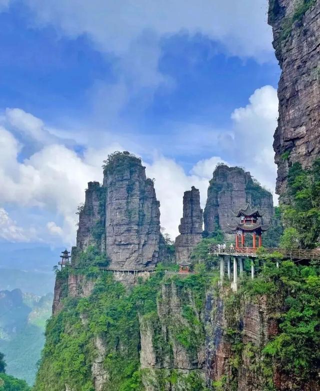 无限暖意！广西发布6条“康养旅居 冬游广西”系列精品线路