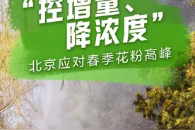 新闻8点见丨北京应对春季花粉高峰；李鬼券商的精准围猎图片