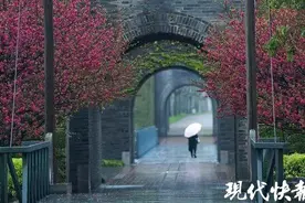 董仲舒祈天求雨，解缙以诗讽人……扬州的雨还有着这么多故事图片