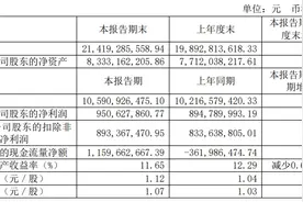 A股电动两轮车制造企业爱玛科技实控人被留置、立案调查图片