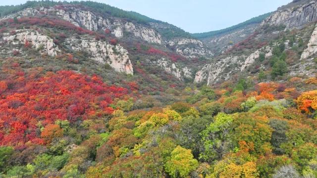 解锁“美拉德”色系！东平的秋天是懂氛围感的