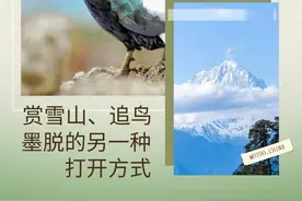 99%的人不知道！墨脱这个地方，既能赏南迦巴瓦，还能邂逅“彩虹”鸟！图片