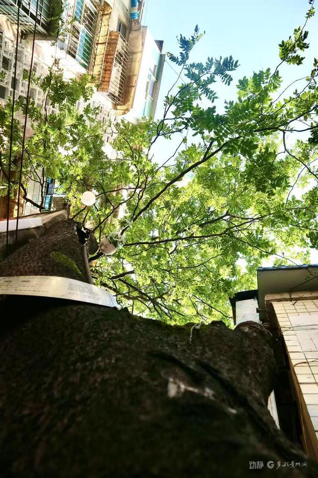 贵阳巷里走丨豆腐巷：在砖石豆香间，打捞六百年光阴