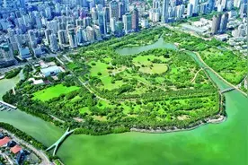 海口：湿地修复融入城市更新图片