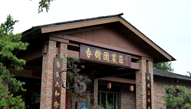 广东新晋网红地！浪漫花海、直升机飞行、地道美食…三水这个地方藏不住了