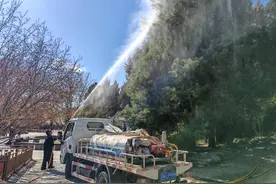 花粉高发期，北京每天为柏树“洗澡”三次图片
