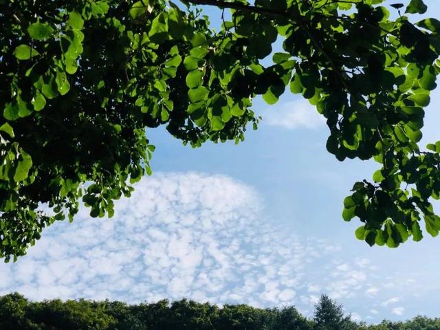 避暑胜地·清凉龙坪 |民宿里的悠然时光！