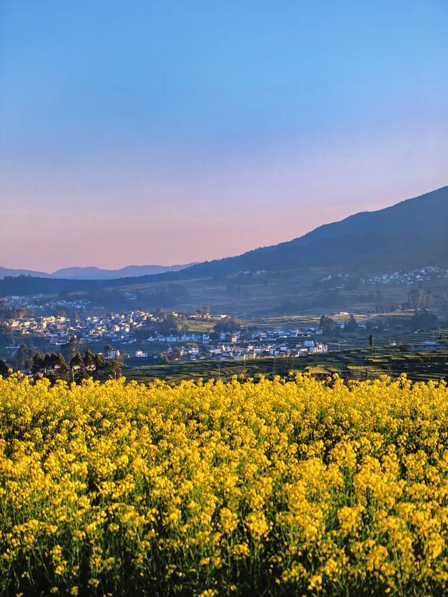 席位满员 开赛在即｜与临翔的春天，只差一个起跑的距离