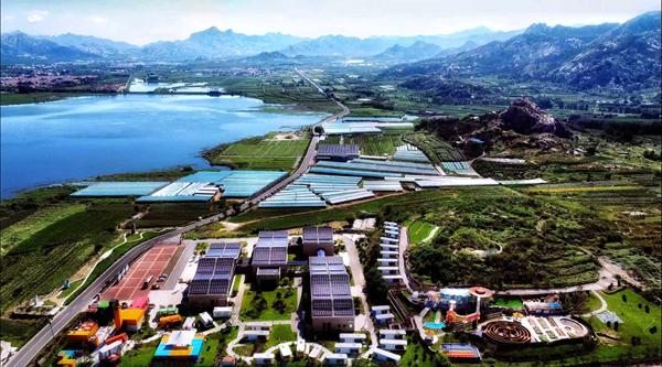 四城联动破界 冬季旅游惠民“冬游胶东”新闻发布会公布跨区域文旅合作创新举措