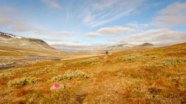 全网最快！请收下这份《花少7》同款挪威攻略