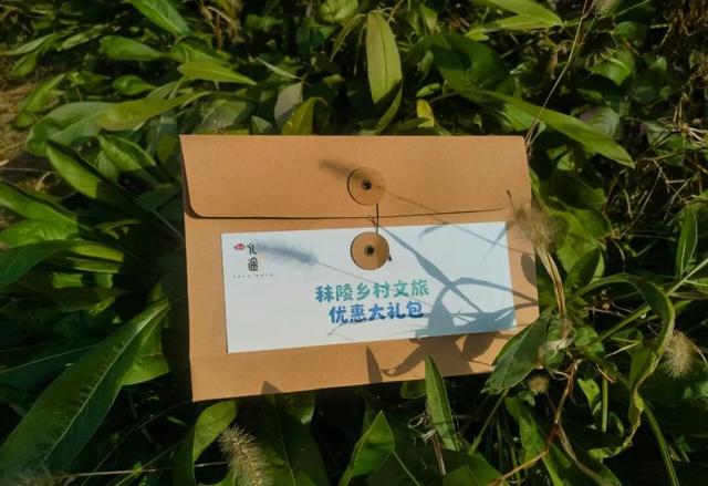 乡村漫游福利！19.9抢千元折扣券，包含银杏湖乐园家庭优惠票