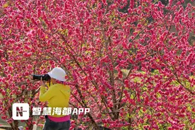 福州公园里的“世外桃源”，簇簇桃红惹人醉！图片