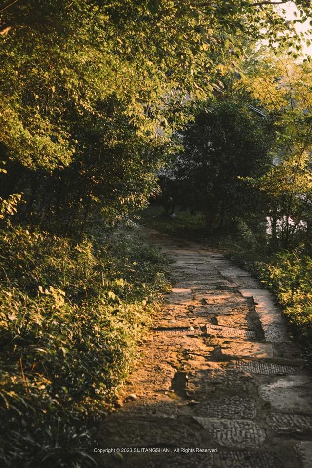 去更高的地方，去有风的地方