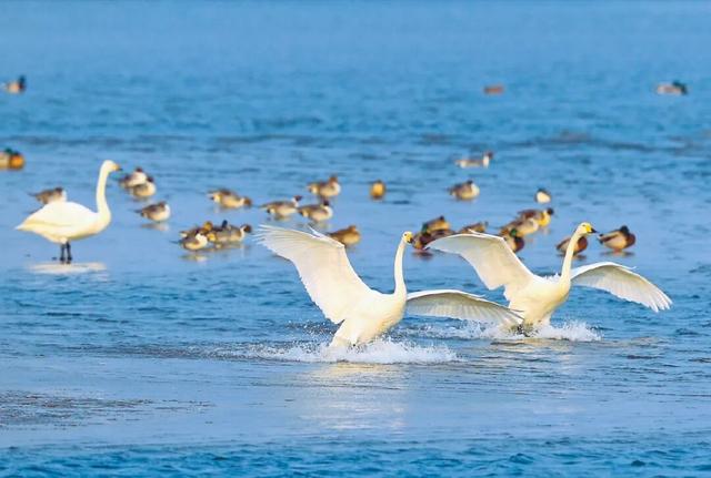 北京冬日限定“奇观”！就到月底！快冲→