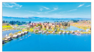 滇岸咖香候鸥来