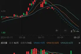 10万股东看呆了！这家公司手握金矿，股票却连续16个跌停，交易所发函20问图片