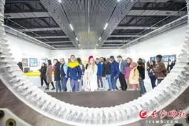 “I love 中国 I love 长沙” 外国友人点赞中国发展速度、真情表白长沙图片