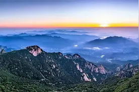 从泰安“农业地形图”，看——泰安乡村振兴图图片