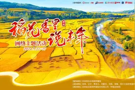 稻花香里说丰年·新农人故事｜一次偶然际遇，彻底改变了他的人生轨迹图片