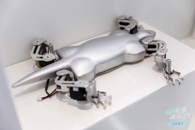 当网络“大V”遇上“网红”江宁……