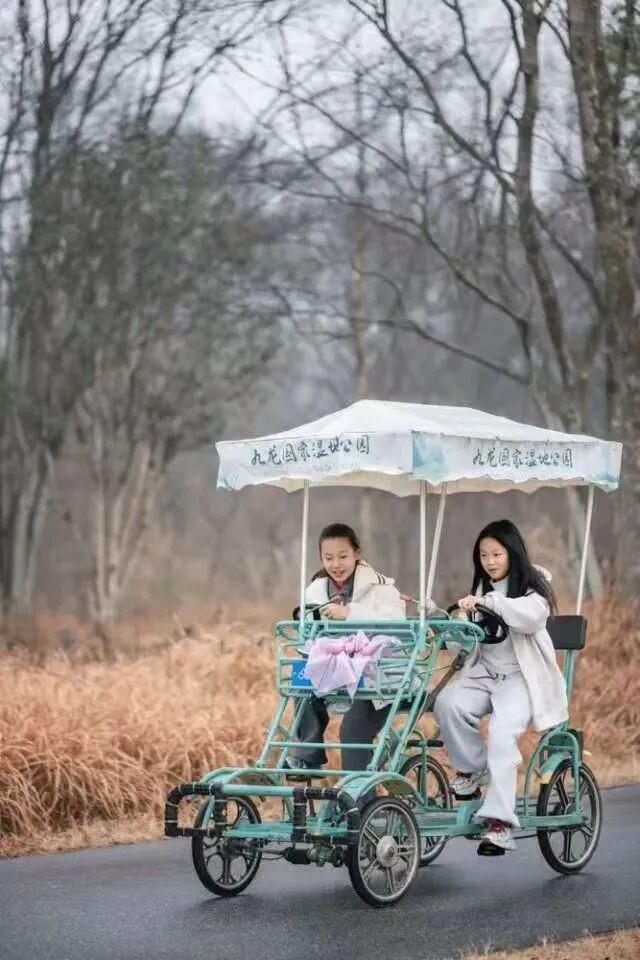 秋假去哪玩？是时候来莲都“躺平”了！