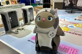 为“爱”而生：陪伴机器人现身中国市场图片