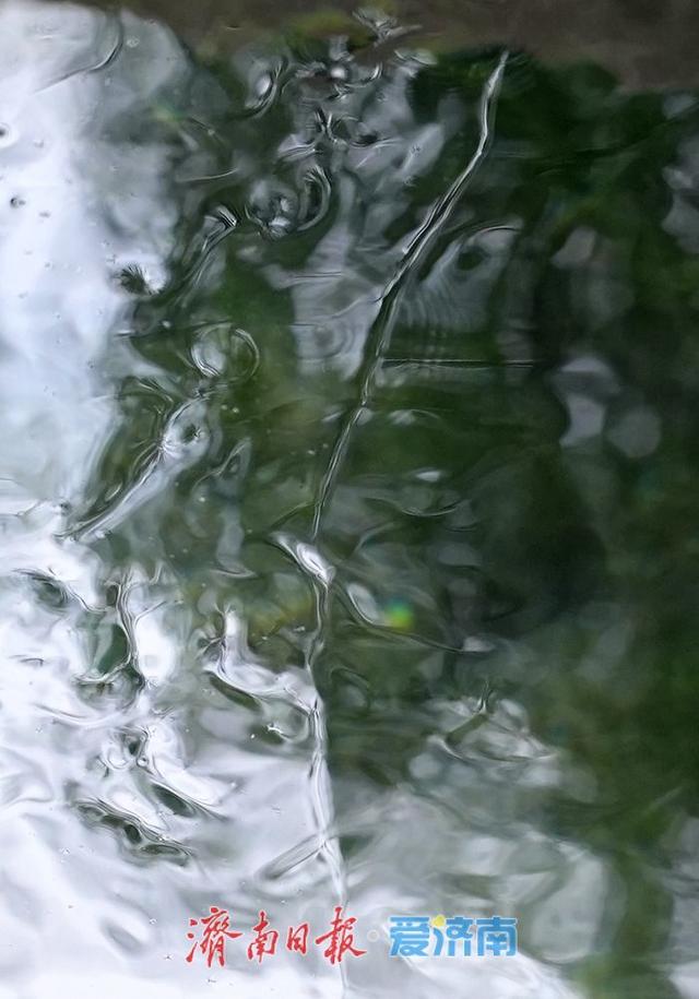 济南“金线奇观”再现