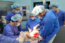 国内首例！医生把肾癌患者的“独肾”取出，切了肿瘤再植回体内图片