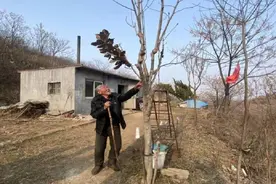 95岁老党员李世富——三十二载的守望只为青山绿图片