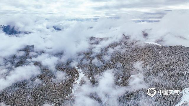 甘肃扎尕那雪后初霁 石林云雾相映成画