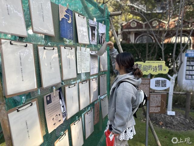 阳光正好，风很温柔，上海的秋天，阅读让人怦然心动