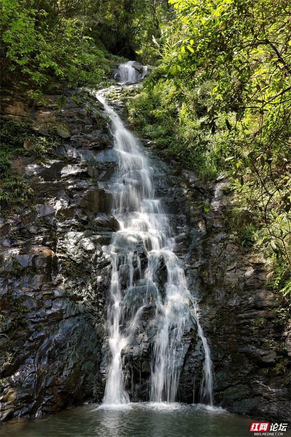 周末出走计划：浏阳深山溯溪营地，承包一整夏的清凉