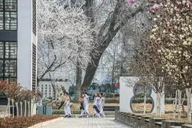 北京8所中小幼学校最新急需岗位，快来报名！图片