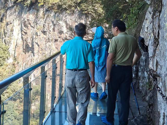 “四明三千里”采风行！跟着诗人游宁波四明山邂逅诗意与清凉
