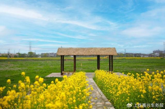 坐高铁，赴潞村，带你走进古韵与生态交融的乡村样本