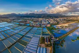 打造绿美之城新名片，山水谢岗有了新思路图片