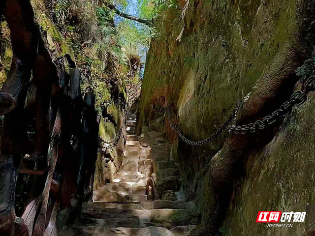 晴朗催热初冬徒步潮：崖壁古寨间解锁张家界山野趣味