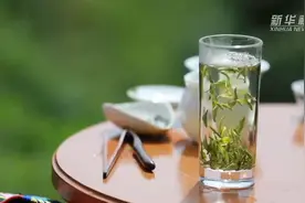 乡村振兴看石阡：千年苔茶中的致富密码图片