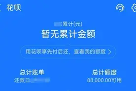 一天损失45万元，杭州女子懊悔：“我真是昏了头”图片