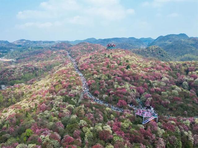 这里，凭什么是中国乡村发展的缩影？从电视剧《乌蒙深处》热播看毕节发展之变