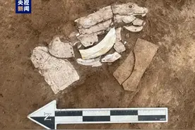 发现龙形蚌饰！内蒙古赤峰彩陶坡遗址出土红山文化早期遗存图片