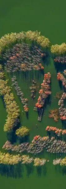 快出门！这些全是洛阳冬日限定！