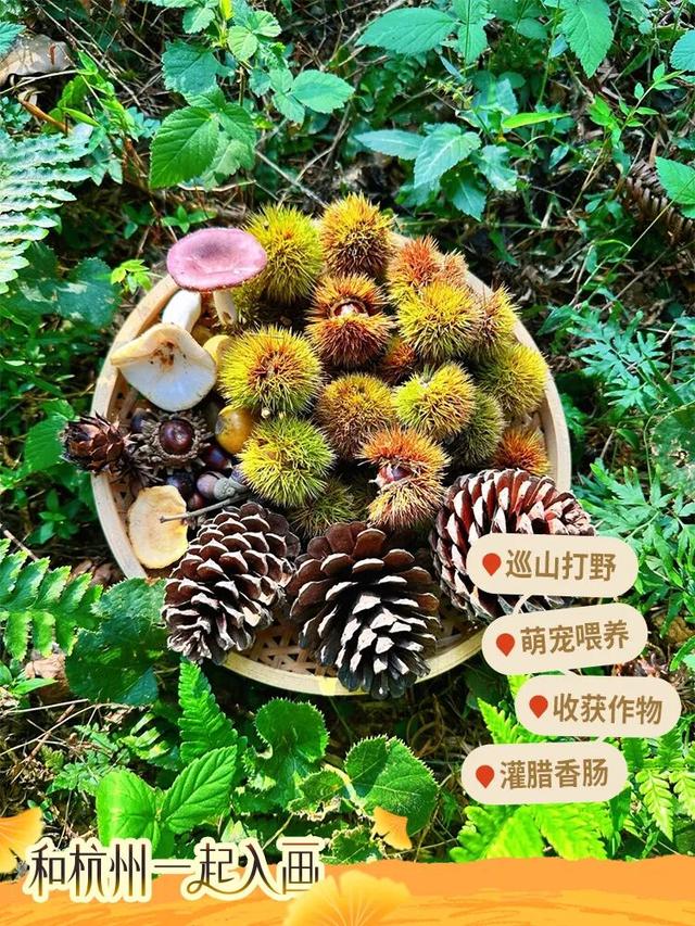 秋冬盛宴来袭，6条宝藏线路玩转杭城！