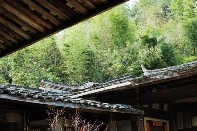 8个好友在福建抱团山居：减少物欲，尝试在山里养育下一代