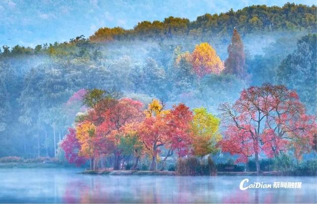 蔡甸后官湖14座山体将变身“花果人家”，春华秋实四季皆景