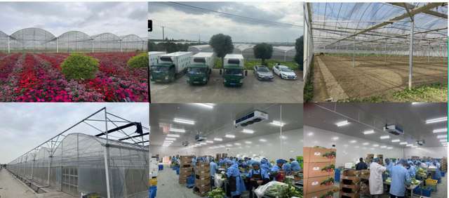 别错过新浜！采摘+黑猪肉+松江大米，这条宝藏路线承包你的田园周末！