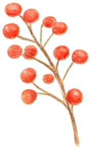 解锁佛山带娃新姿势！秋假攻略、普法课堂、神奇公园......这篇全都有！