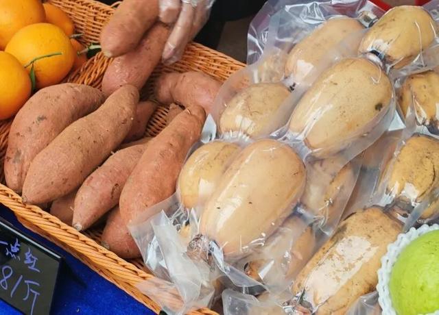 沿着高速游南沙！这个 “霍格沃兹风” 服务区藏着太多惊喜