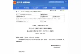 到2027年，重庆将累计促进150万高校毕业生等青年留渝来渝就业创业图片