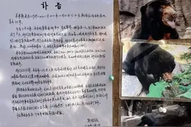 “动物看人”的动物园，何以成顶流？图片